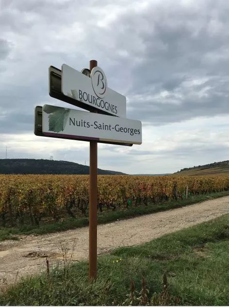 在路上,继续革命的里奥哈优质原产地葡萄酒