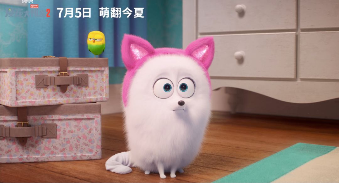 在郭采洁眼里,博美啾啾原来是这样的"奇女子"?_机密
