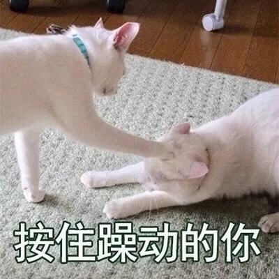 皱眉表情包全套 bf202b96abec4e24a448d71584be0ed0.jpeg