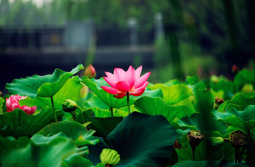 不要伤害一个对你好的人