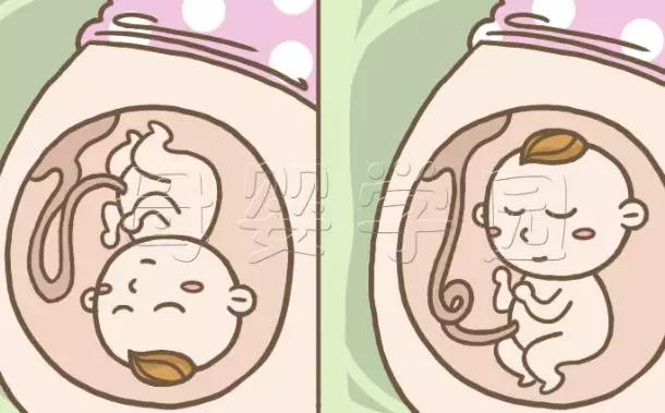                     福孕妈妈丨宝宝在妈妈肚子里时的排泄物都去哪儿了？