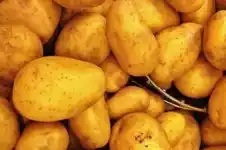 苹果的营养价值和功效100多字 d2e75a2f36094235916bdabd7c44019a.png