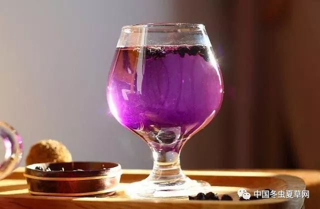 黑枸杞好处蛮多的,但吃之前,这些基本常识你要知道! 网上娱乐场mg电子游艺
