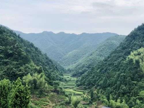 2019东阳市夏季乡村休闲旅游体育节一场夏日嬉水嘉年华即将开启