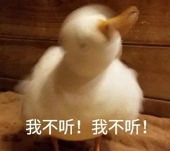 表情包 | 冲冲冲!冲鸭!