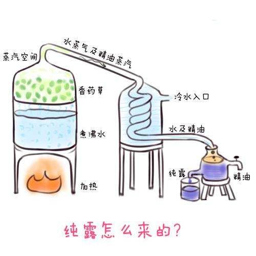 纯露做爽肤水好不好