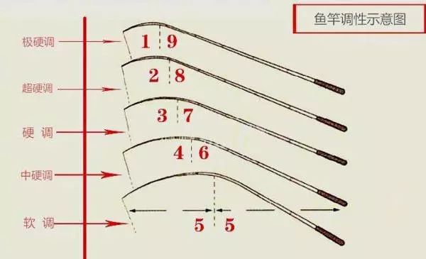 新手野钓如何选鱼竿,老钓友分享了一些选择技巧