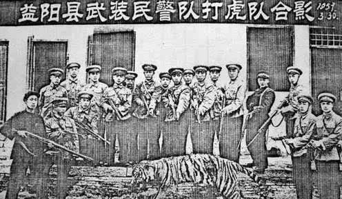 中国老虎消亡史：最后的疯狂100年