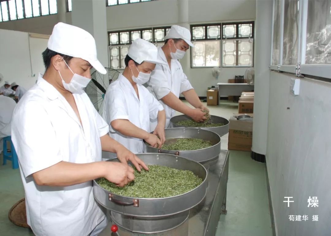 茶的工艺｜六大茶类制茶工艺流程 - 知乎