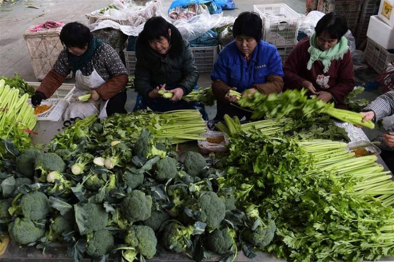 种植人口地_世界人口老龄化地图片(2)