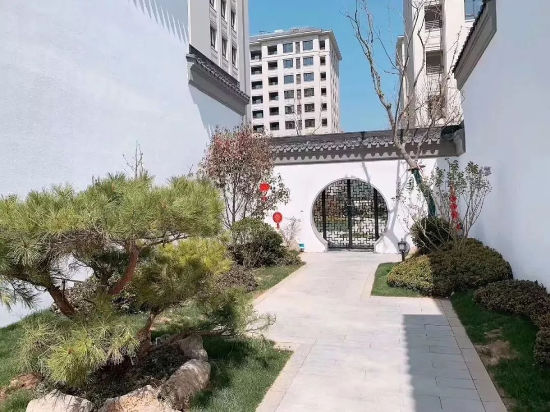 文章配图-15