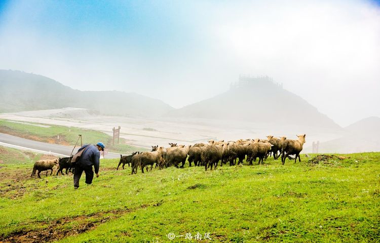 南方也有大草原,就在贵州六盘水,夏天冷”成深秋! e世博国际APP