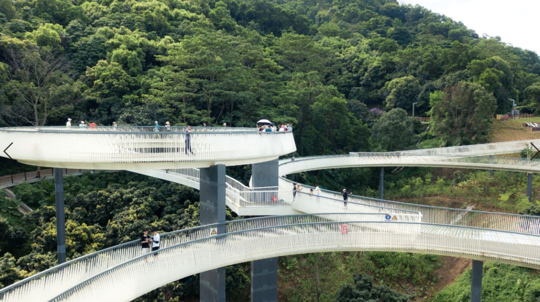 "光明小镇绿道三桥体验官"活动在光明区光明小镇马拉松山湖绿道举办