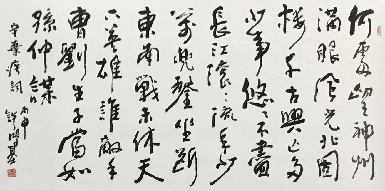 感触曹植七步诗,拜读稼轩壮怀词——书法艺术作品