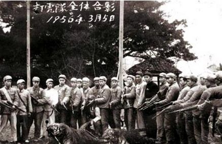 中国老虎消亡史：最后的疯狂100年