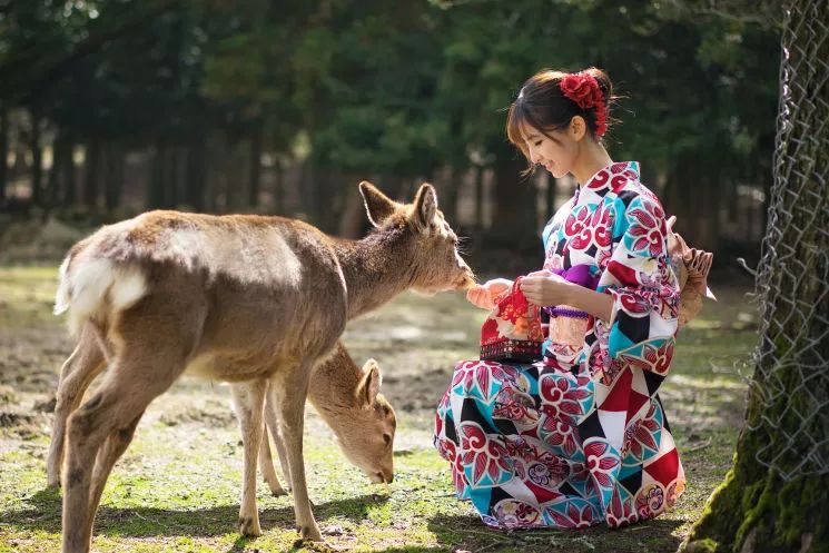 奈良 nara