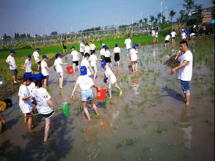 绍兴树童部落再现鲁迅童年记忆田园梦从此有了寄托