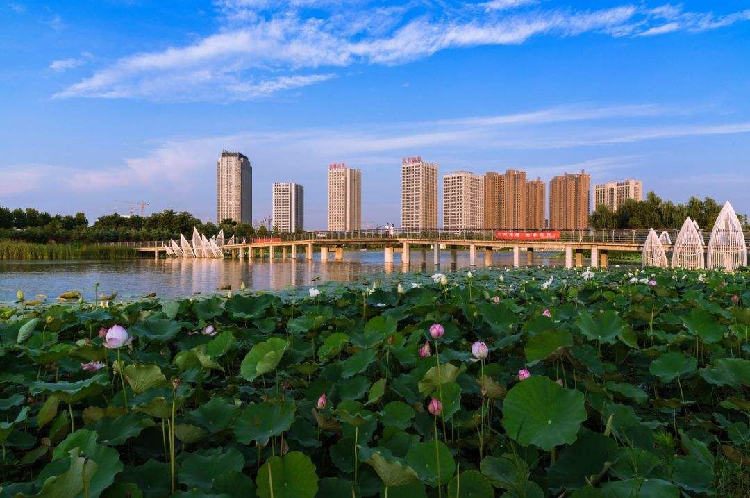 芙蓉湖实景图(图片来源于网络)