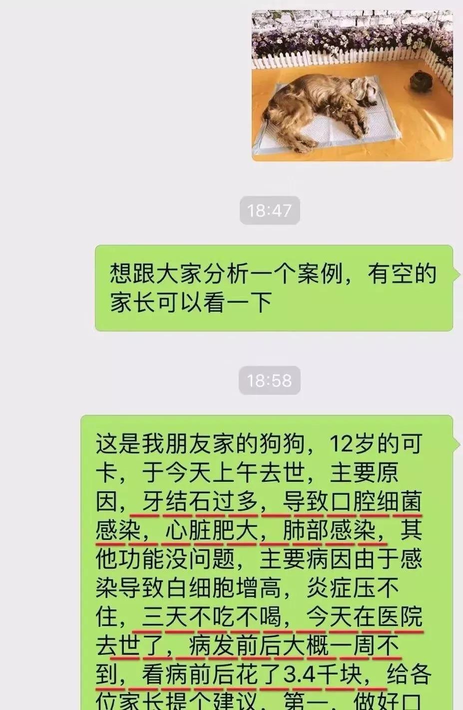 原創
            睡著了也要裝兇的狗：把牙卡在門上，就沒人敢過來了~ 寵物 第8張