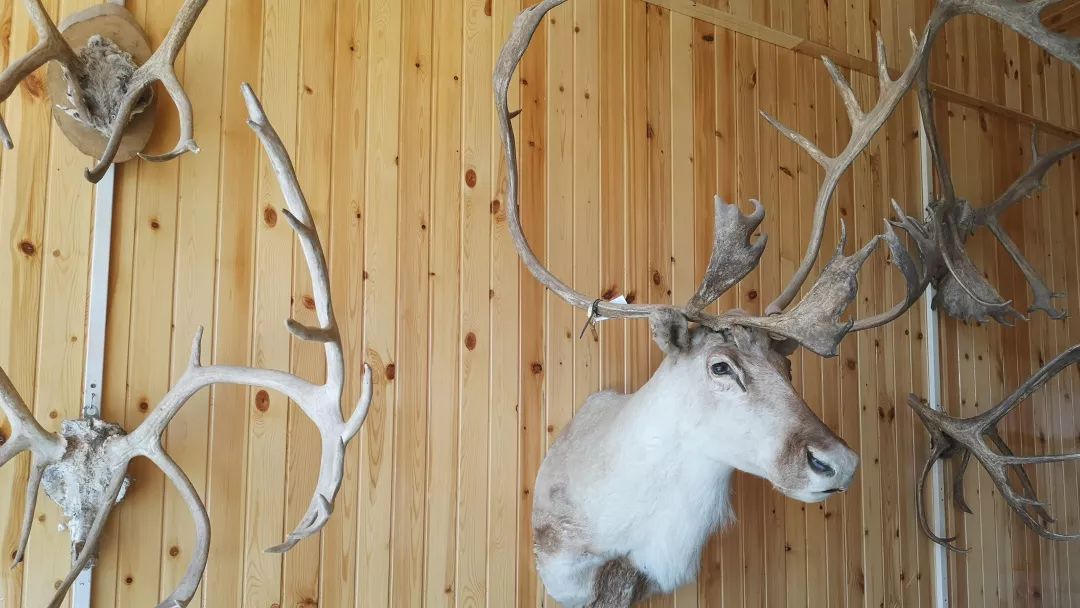 西丰GDP_水利工程之美你做主 重庆璧南河入围2016最美工程 内附投票通道(3)