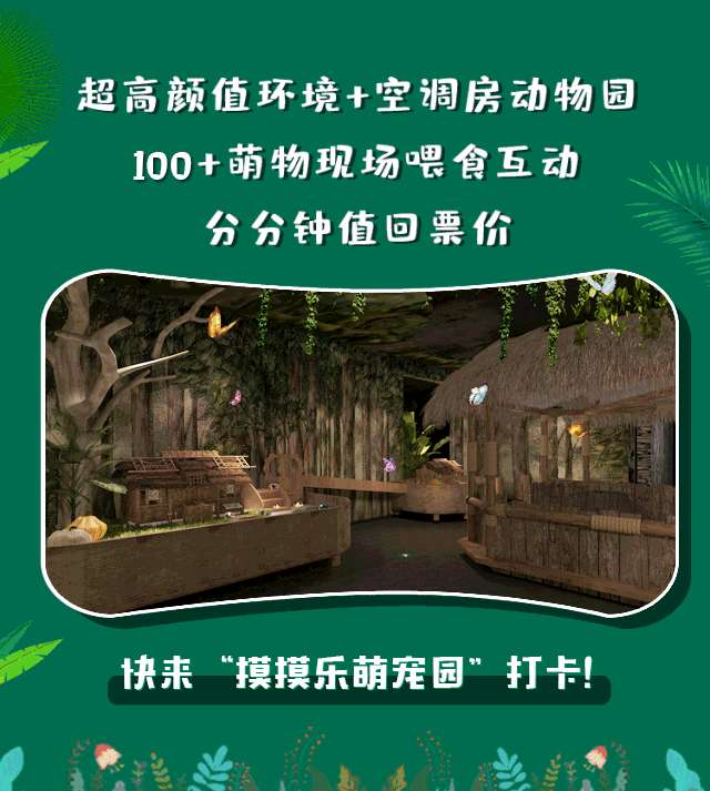 2000㎡ 巨型室内动物园惊现湖城!100 只小可爱陪