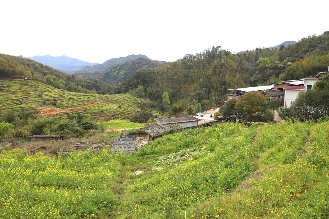 步云乡位于上杭县东北部,东邻龙岩,西接连城,地处国家a级梅花山自然