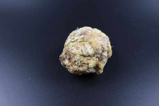 药用价值极高的中药材——鸡宝