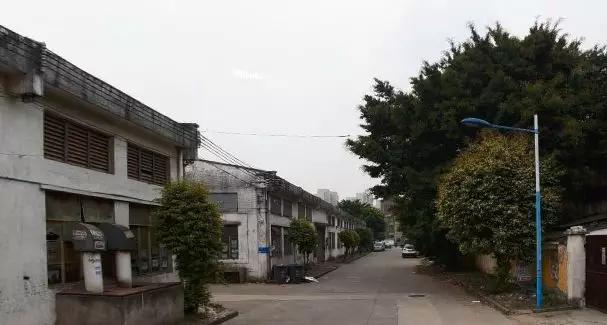 42栋楼3所学校建文创产业基地罗边村旧改规划出炉