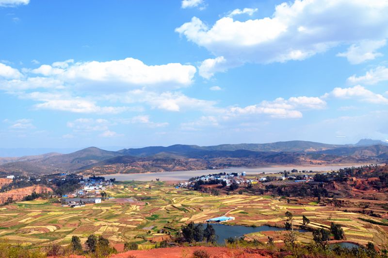 【官宣】邀请函 7月13日,元谋·新华第二届乡