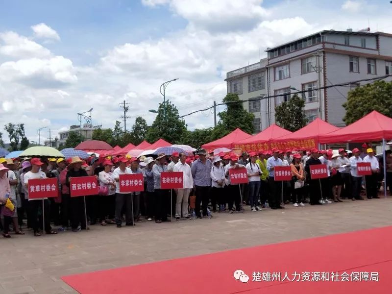 楚雄市苍岭镇2019年农村劳动力转移就业暨就业扶贫专场招聘会成效显著