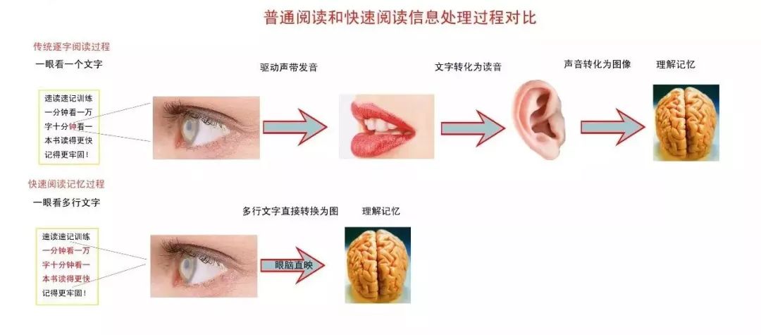 什么东西能快速降低皮质醇 68842375f4c2432daa36a0668693e904.jpeg