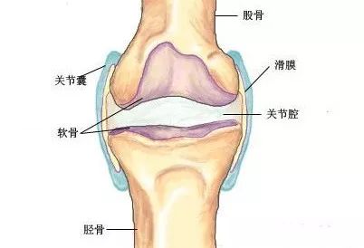 膝关节弹响,不可忽视的警告