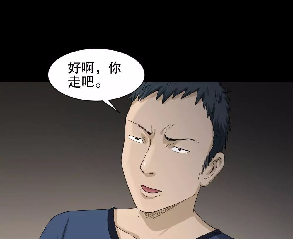 怪奇笔记之动物妈妈