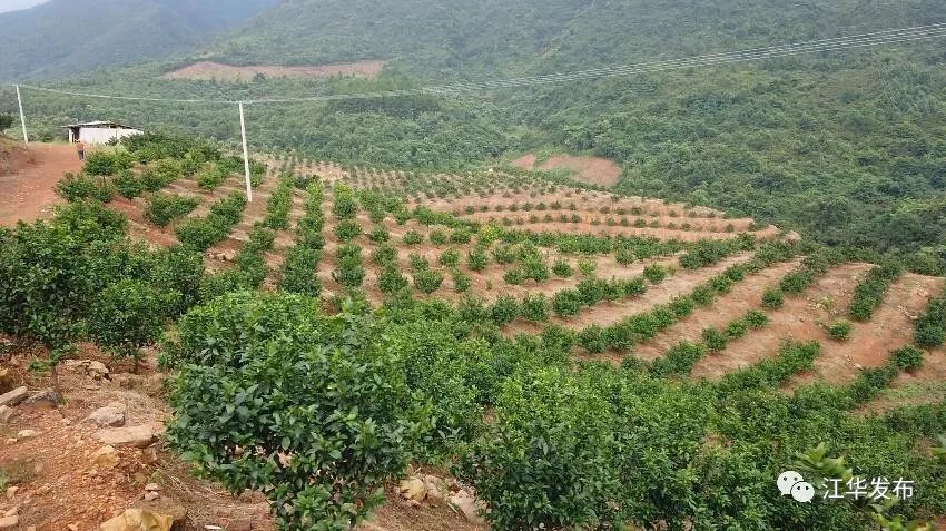 加州橘县人口(3)