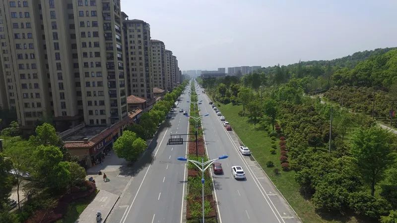 闲林街道