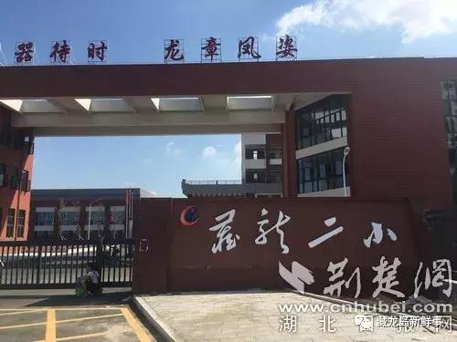 待遇很好江夏藏龙岛计划招聘13名小学教师已开始报名