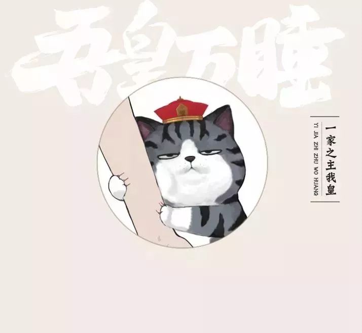 74猫生哲学 神奇脑洞,爆笑中带给你暖心的人生思考!可萌可暖可傲娇!