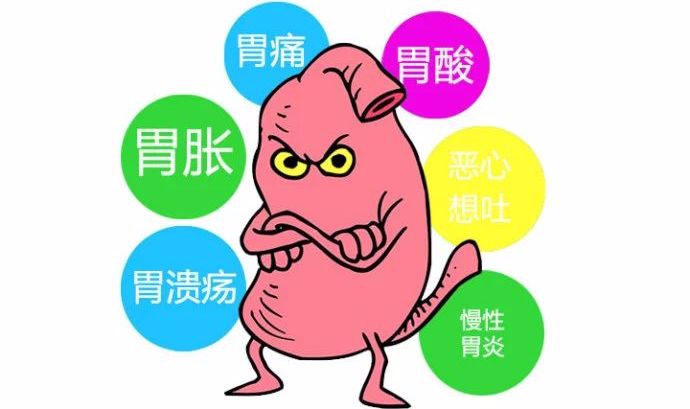 怎么吃花胶对胃好