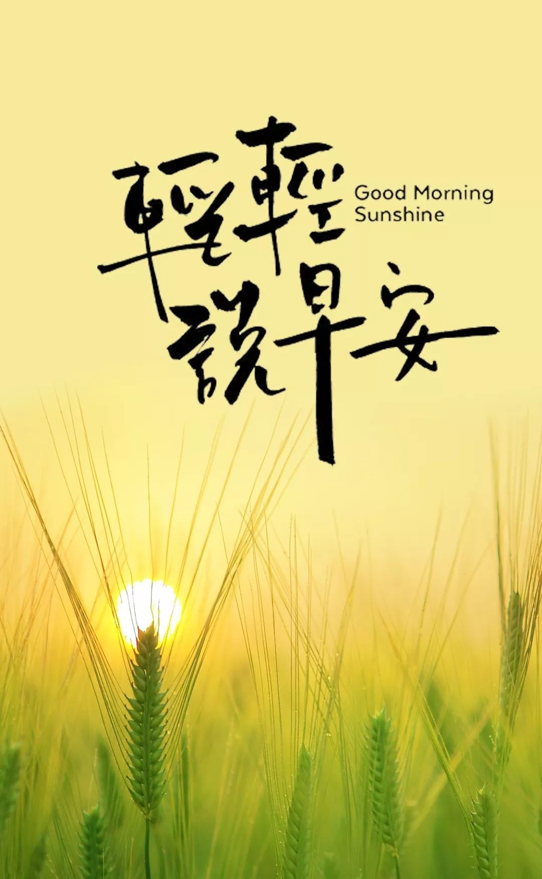 8月16日周三早上好最新版早安祝福语图片 - 哔哩哔哩