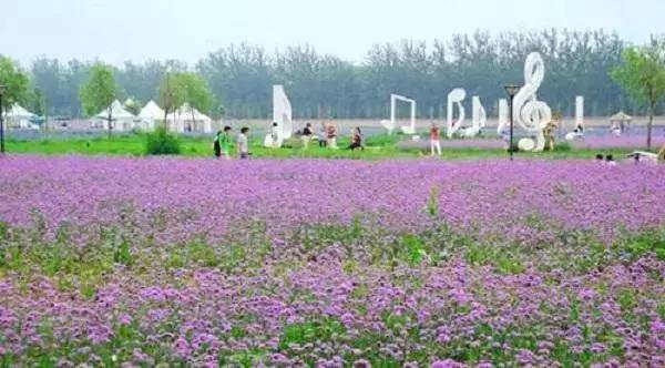 打造休闲农业乡村游的5种方法开云体育 开云平台(图2)