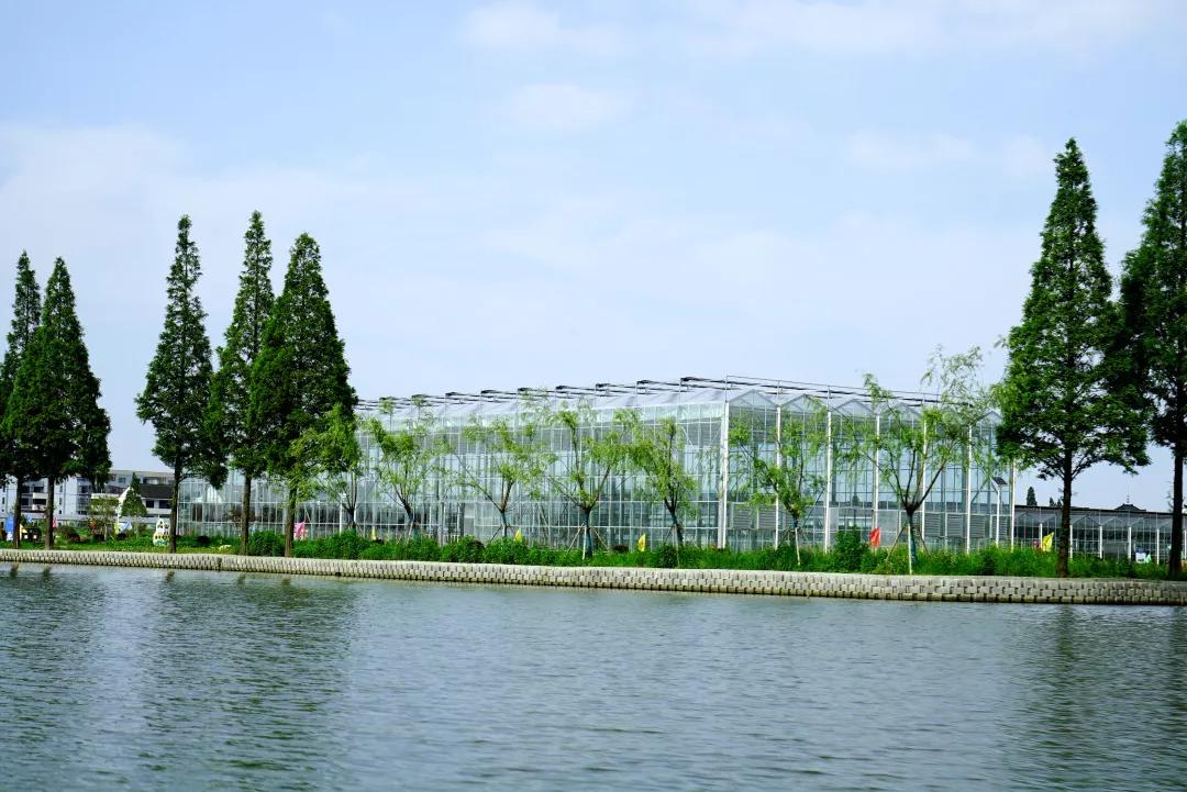 绍兴"树童部落"再现鲁迅童年记忆,田园梦从此有了寄托