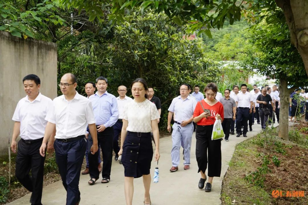 板燕乡县领导实地感受农村人居环境整治带来的新面貌新气象