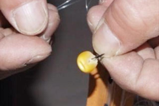 挂钩玉米怎样饱满不瘪 8a9bb752040548ffb09cbde284a6cff0.jpeg