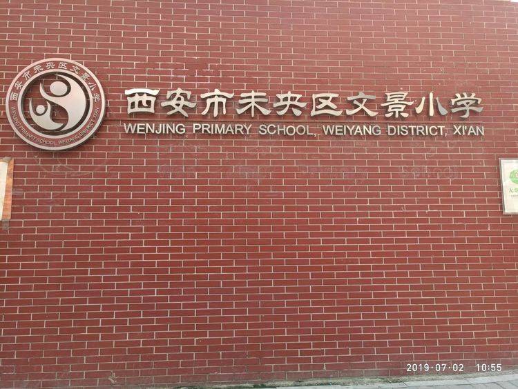 市政协副主席张宁及部分政协委员赴未央区文景小学调研儿童青少年近视