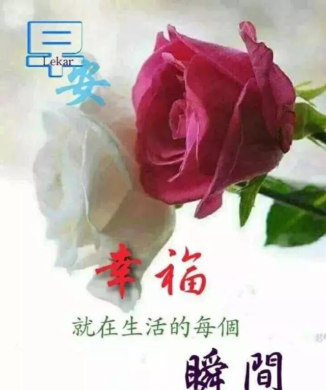 每天祝朋友顺心,开心,喜心,乐心每一天,早安