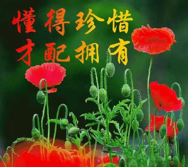 你的世界里,永远有我的祝福,带给你健康,早安_问候