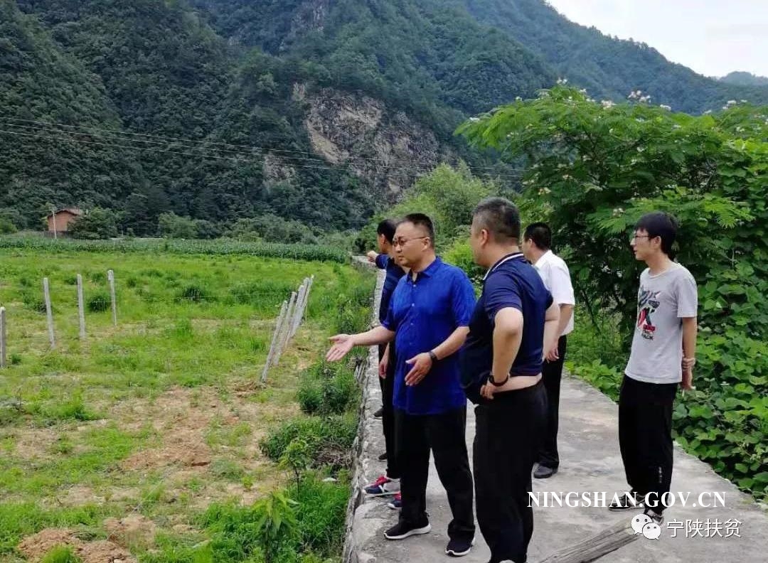 宁陕县脱贫攻坚百日会战行动三十四