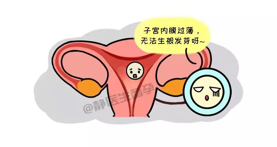 原创静医生备孕:子宫内膜薄该拿什么拯救我的好孕?