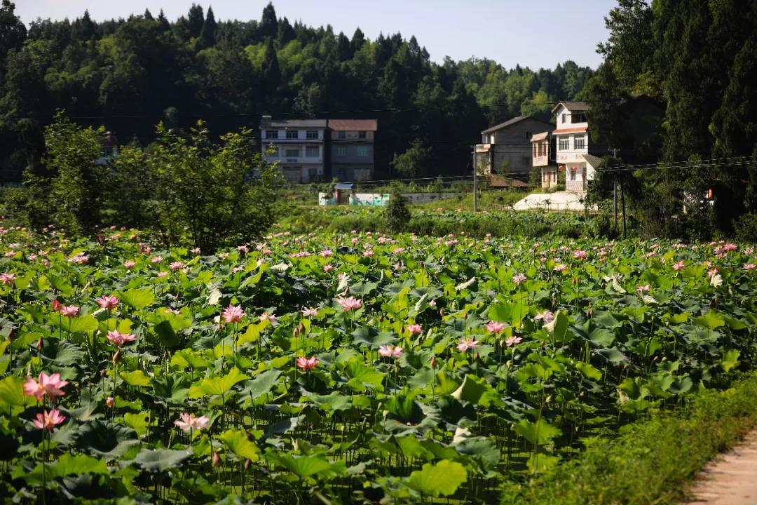 胜观镇位于四川省南充市高坪区东部,与岳池,蓬安两县毗邻,螺溪河穿镇