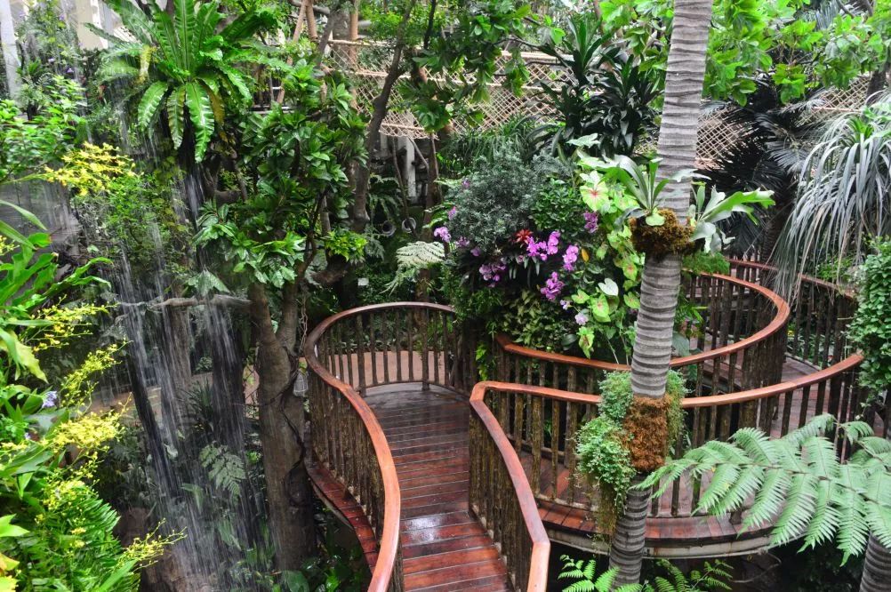 国内首家室内热带雨林落户正佳~99=1大1小,暑假就来这里盘它!